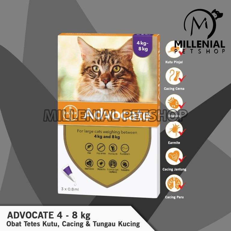 Obat Tetes Kutu Cacing Tungau Flea Scabies Kucing Advocate 4 – 8 KG