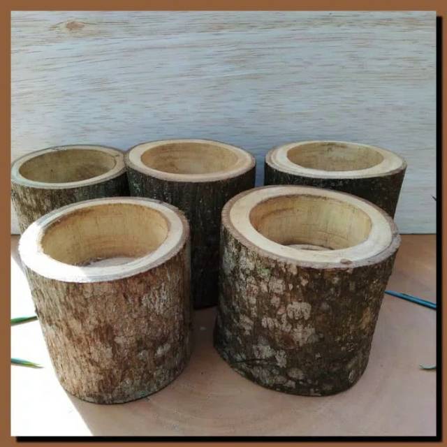 Natural wood log planters succulent pot vas bunga kayu kaktus