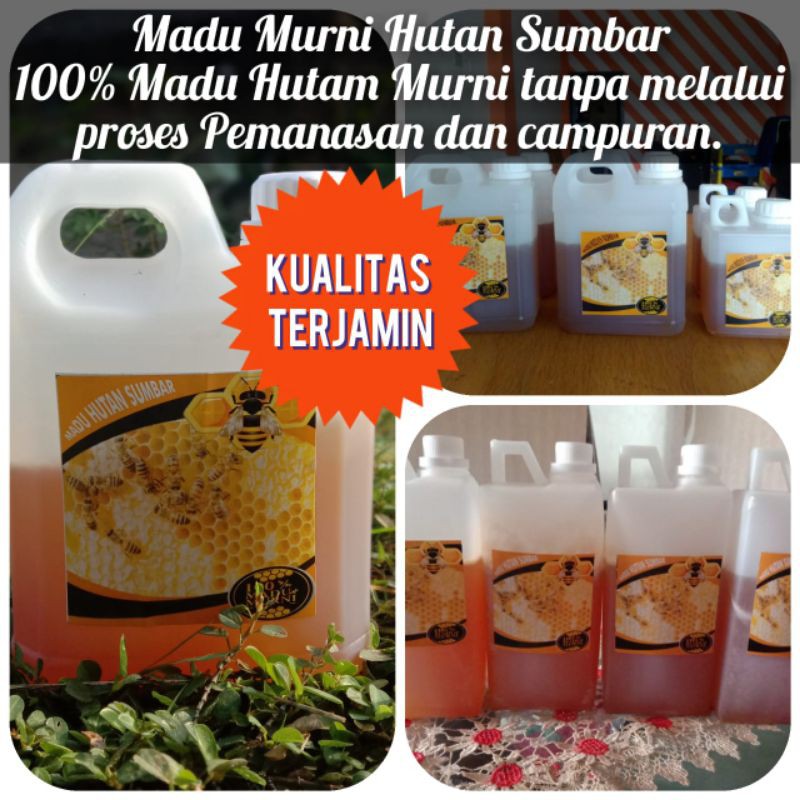 

Madu Murni Hutan Sumbar 1 Kg