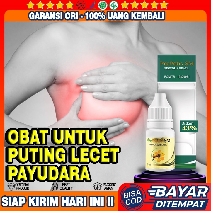 Obat Tetes Puting Payudara Lecet, Obat Puting Payudara Lecet, Obat Puting Payudara Bengkak, Propolis