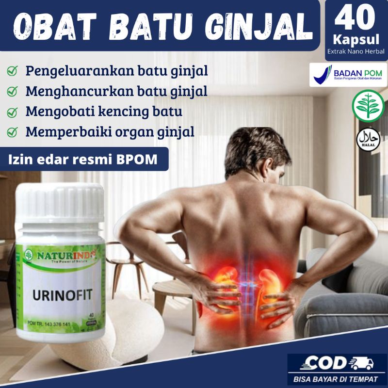 Obat penghancur batu ginjal herbal batu empedu kantung kemih kencing batu