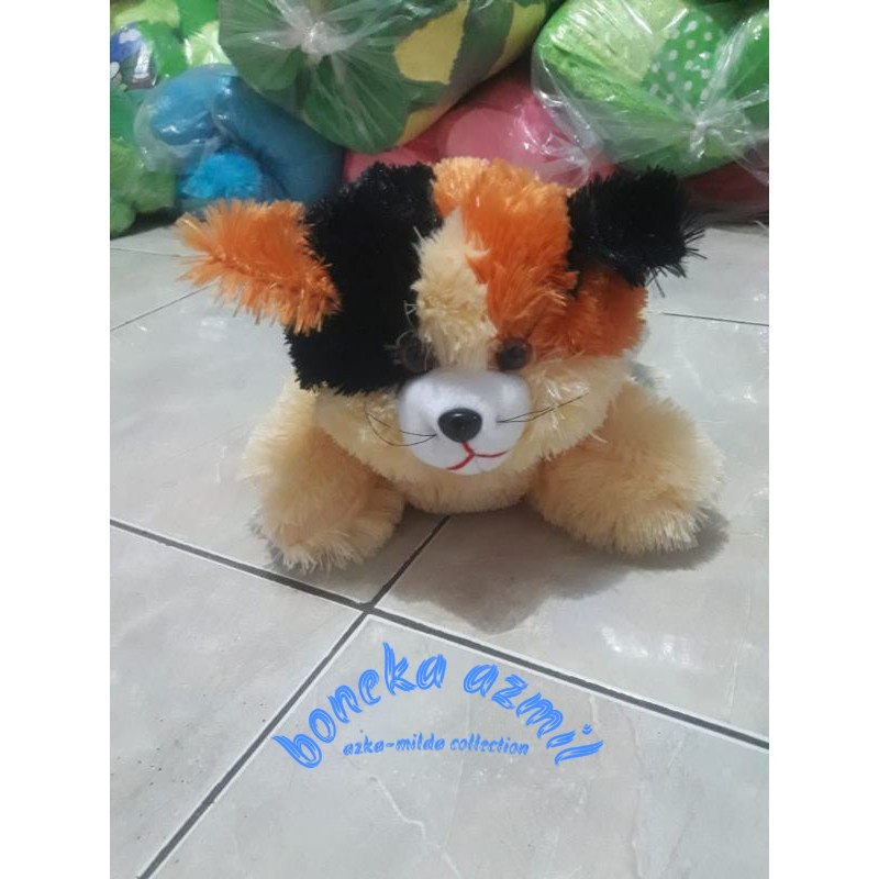 Boneka kucing lucu Persia size l