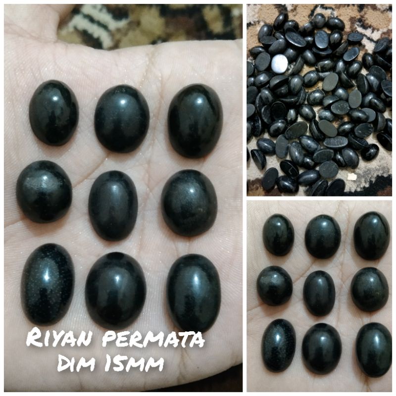 Fosil galih kelor hitam asli