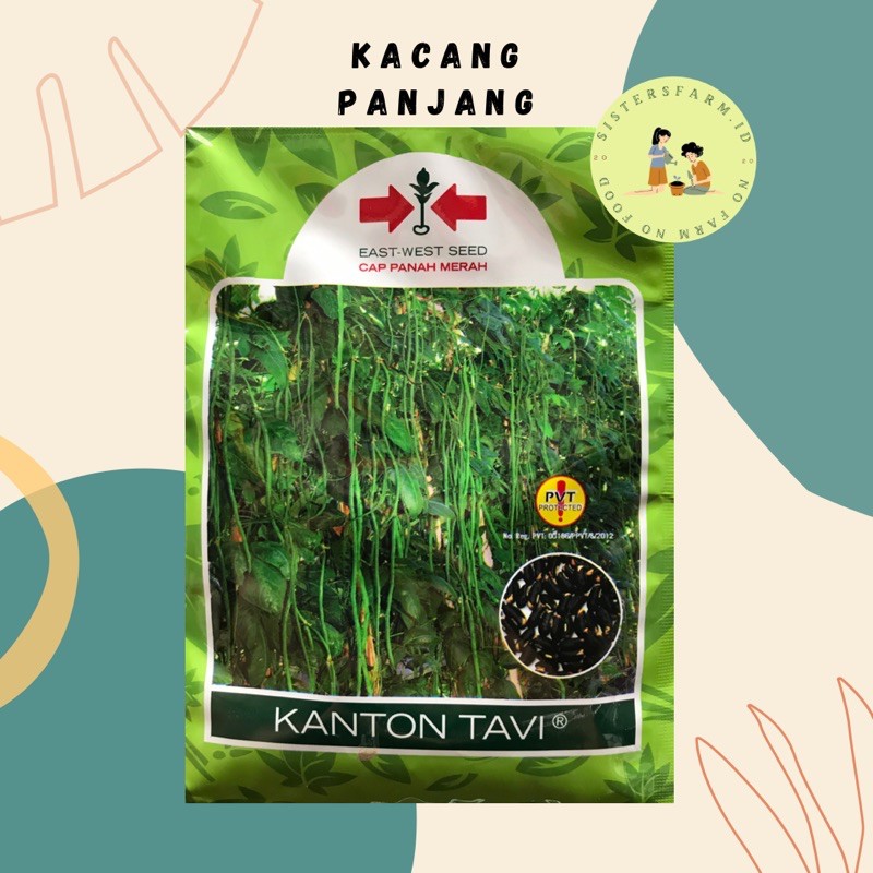 Kacang Panjang Kanton Tavi Cap Panah merah