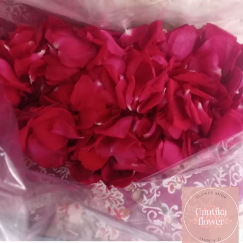 kelopak bunga mawar merah tabur asli fresh