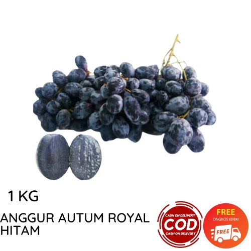 ANGGUR AUTUMN ROYAL HITAM