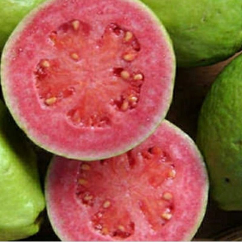 

Buah Jambu Biji Merah Premium/kg
