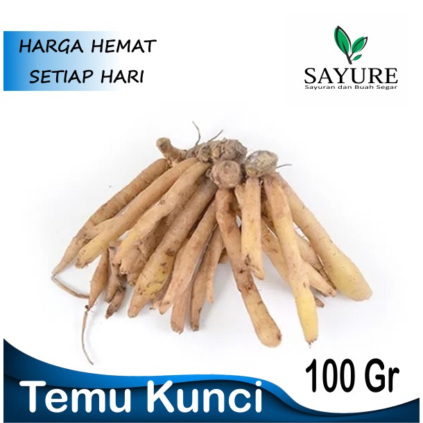 

TEMU KUNCI BERKUALITAS 100 GR