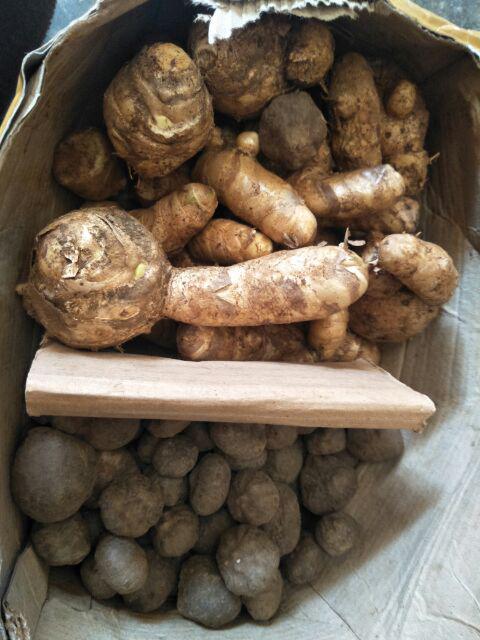 Kunyit Putih Berat 1kg