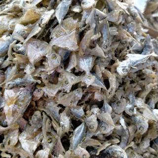 Jual Ikan sepoh/ ikan sampah medan 250gr Indonesia|Shopee Indonesia