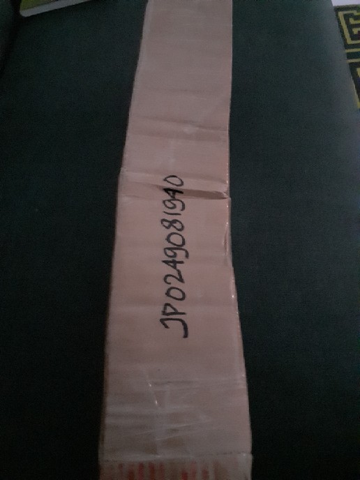 Keladi Urat Merah / Keladi Fanny Munson/ Keladi Brandy Wine