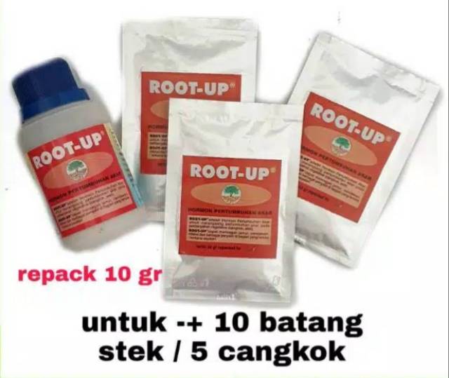 Root up perangsang akar dan hormon pertumbuhan akar 10gram