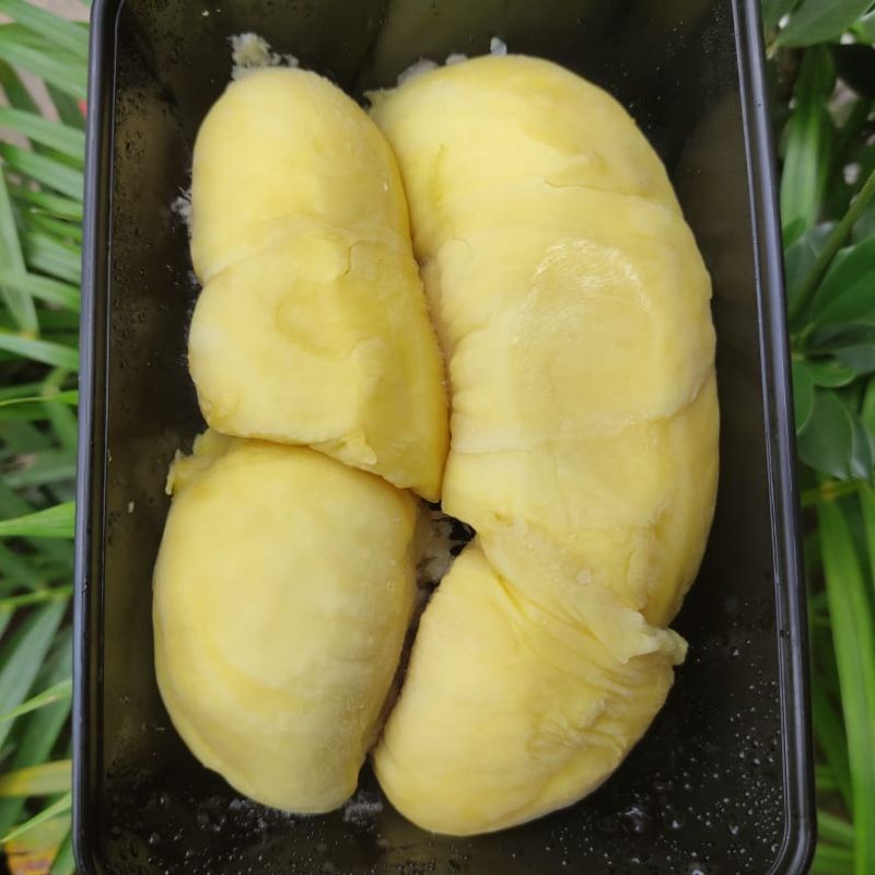 

Durian Montong