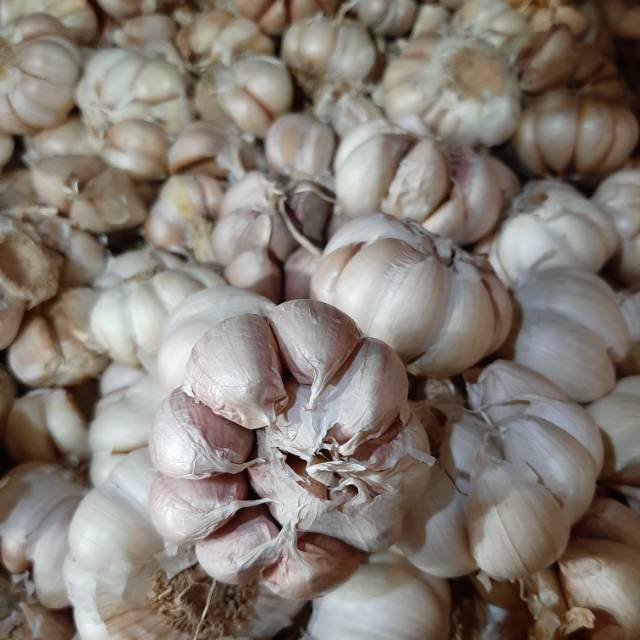 

Bawang putih bulet 250 gr