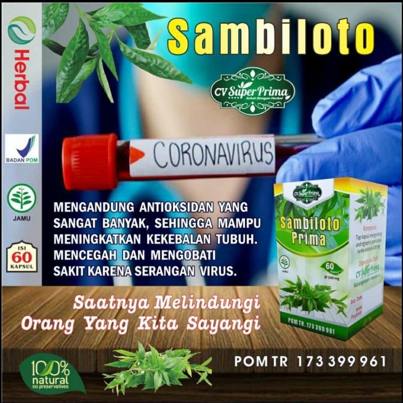 

Kapsul SAMBILOTO Herbal solusi covid - CV Super Prima 60 kapsul Resmi BPOM