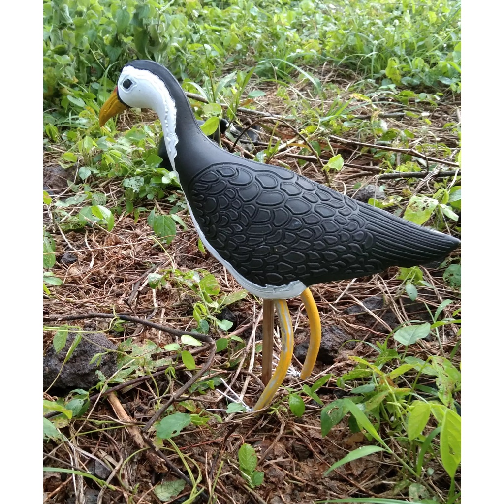 WRT JONTROT PEMIKAT BURUNG RUAK RUAK KAREO PATUNG RUAK RUAK / PEMIKAT BURUNG