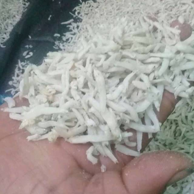 

Ikan Teri Nasi Asahan