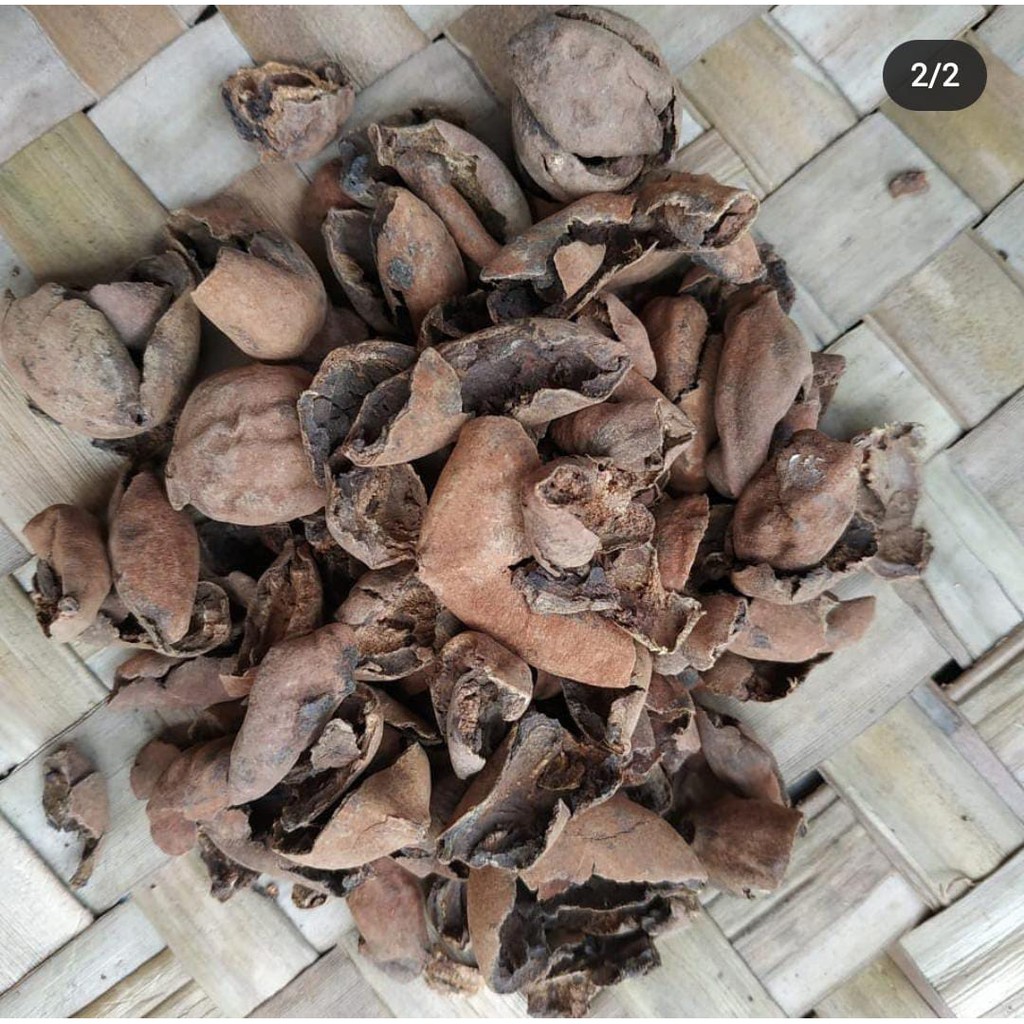 

Buah Jalawe/Jolawe/Ecoprint/Pewarna Alam