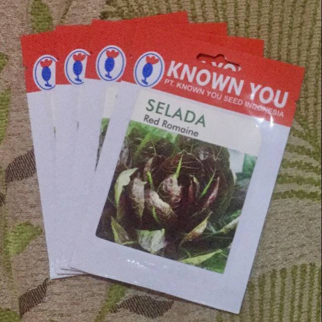 Benih - Bibit - Biji - Selada Lettuce Red Romaine Known You Seed