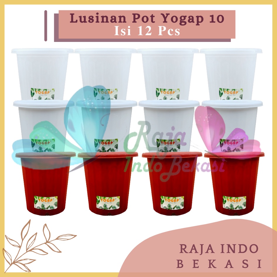 LUSINAN Pot Yogap 10 Putih Transparan Bening Merah Bata Isi 12 pcs Pot Yogap 10 13 15 17 18 19 Pot Yogap Bening LUSINAN POT YOGAP MURAH