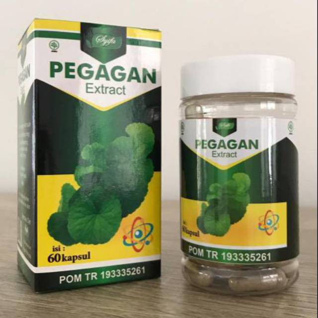 Ekstrak PEGAGAN Kecerdasan Menguatkan Syaraf Lemah I 60 Kpsl I Syifa Herbal Alami