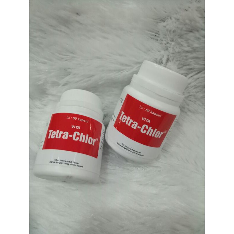 TETRA CHLOR 50 KAPSUL