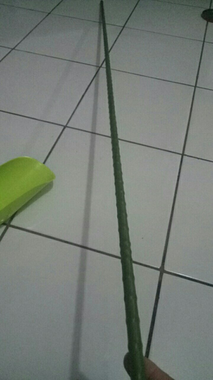 Ajir Tanaman Merambat Model Lurus 150 Cm
