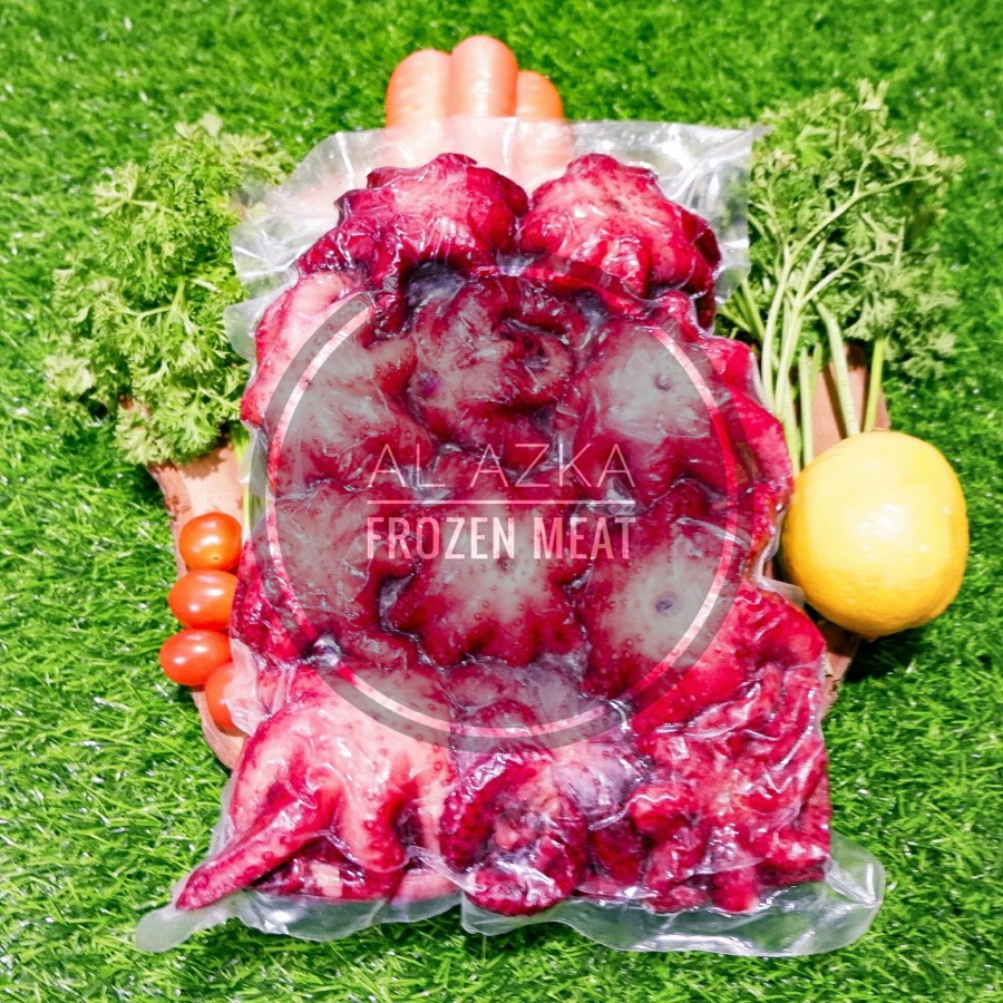 

Baby Octopus / Gurita Kecil Matang / Tako Boiled / Bayi Gurita Rebus 1 Kg
