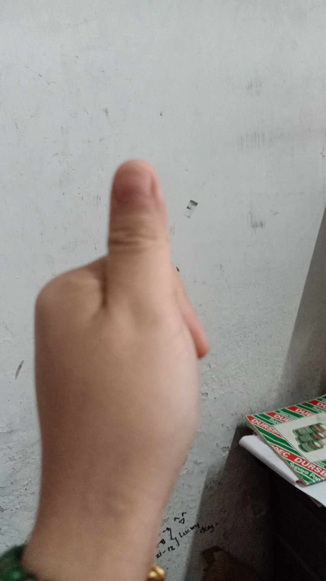 Bok Mangkok Ayam Jago Mini/ Free Tali