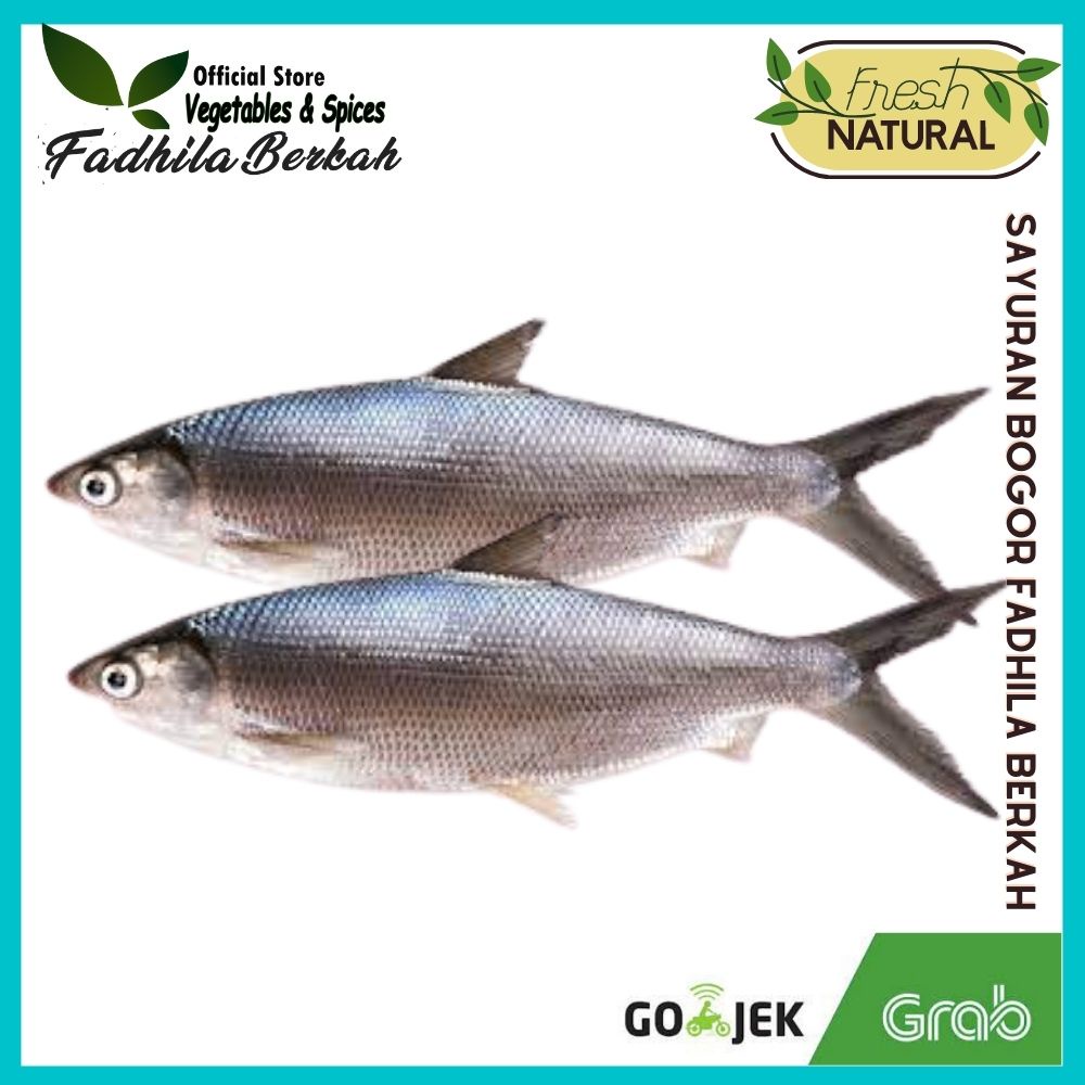 

Ikan Bandeng | ikan segar bogor| Sayuran segar Bogor | Toko Fadhila Berkah Bogor kemasan 500 gram