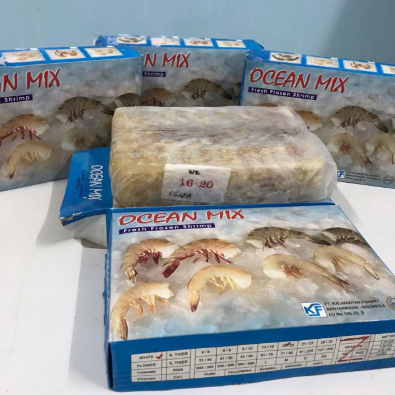 

OCEAN MIX SHRIMP WHITE SEA Fresh Frozen (Udang Laut Putih)