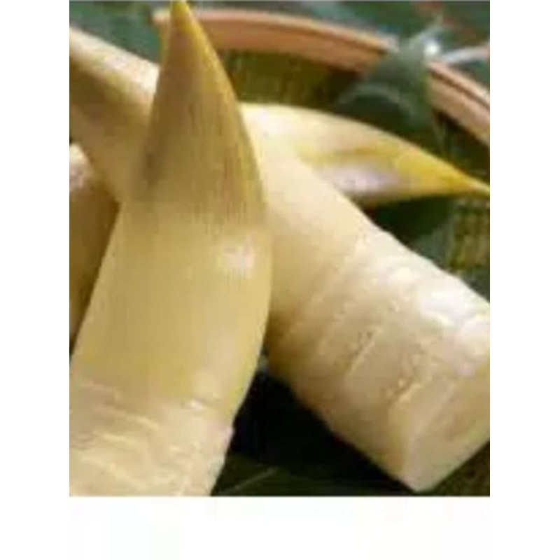 

Rebung Sayur 500 gram