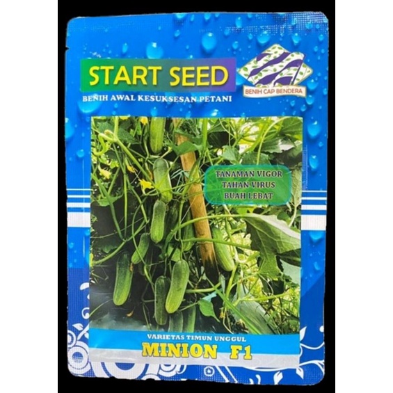 Bibit benih Timun MINION F1 isi 850 biji Tahan Virus dari START SEED