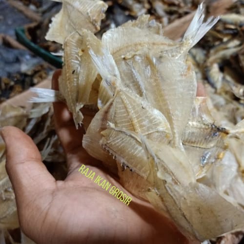 

IKAN ASIN MURAH PAKANG/KAPASAN 100 Gram