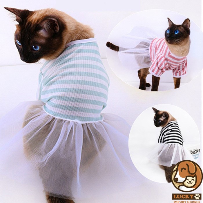 Baju Dress Kucing Betina Dewasa Lucu Murah/Dress Anjing Kecil Besar Poodle Pom