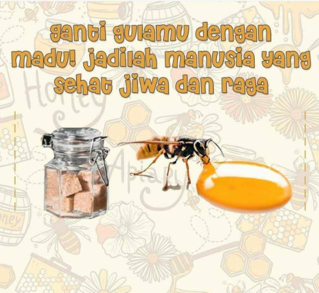 Madu Original Trigona Klanceng Propolis Kelo Indonesia