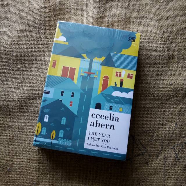 

The Year I Met You/ Tahun Itu Kita Bertemu - Cecelia Ahern