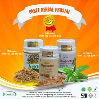  Obat  Prostat  Herbal Ekstrak Daun  Sambiloto Akar Alang 