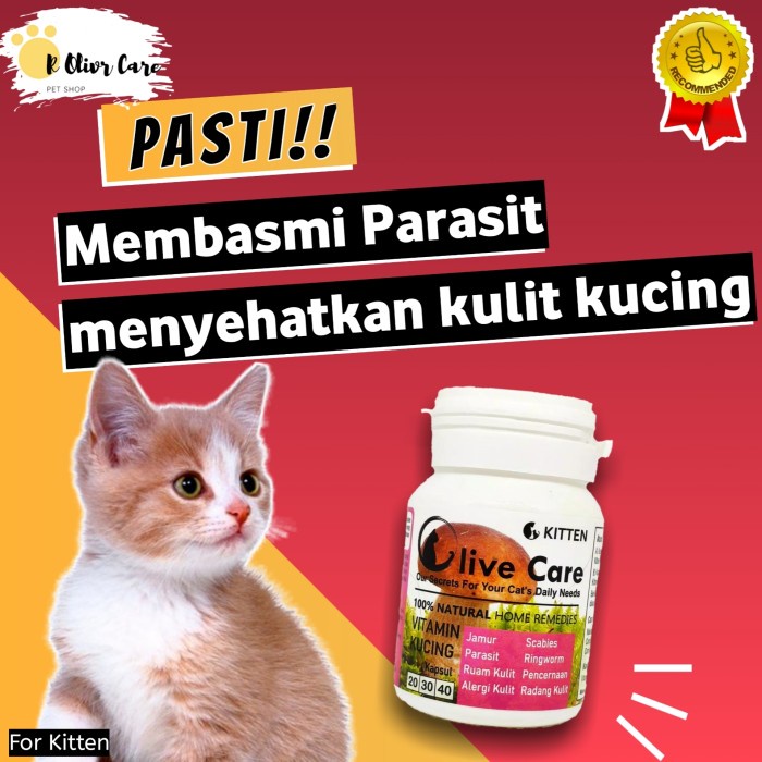 Obat Kucing Scabies Jamur Anak Kucing Vitamin Kucing Makanan Kucing Vit Anak -