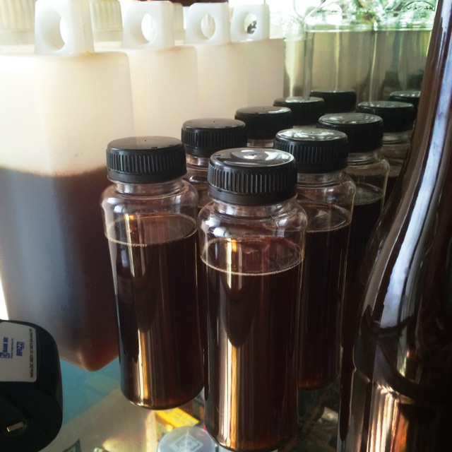 

Madu Hutan Murni