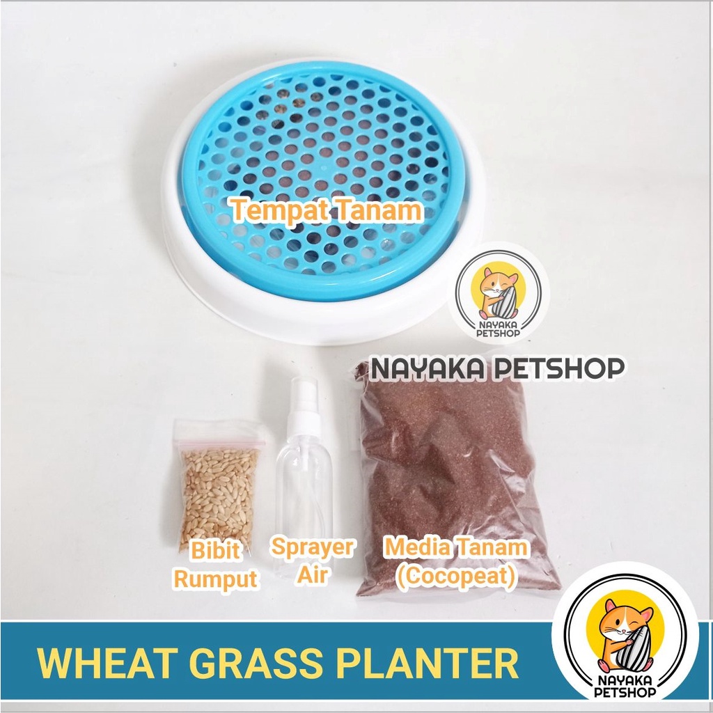 Paket Tanam Rumput Kucing Tempat Wheat Grass Planter Alat Menanam Gandum Opo Cat