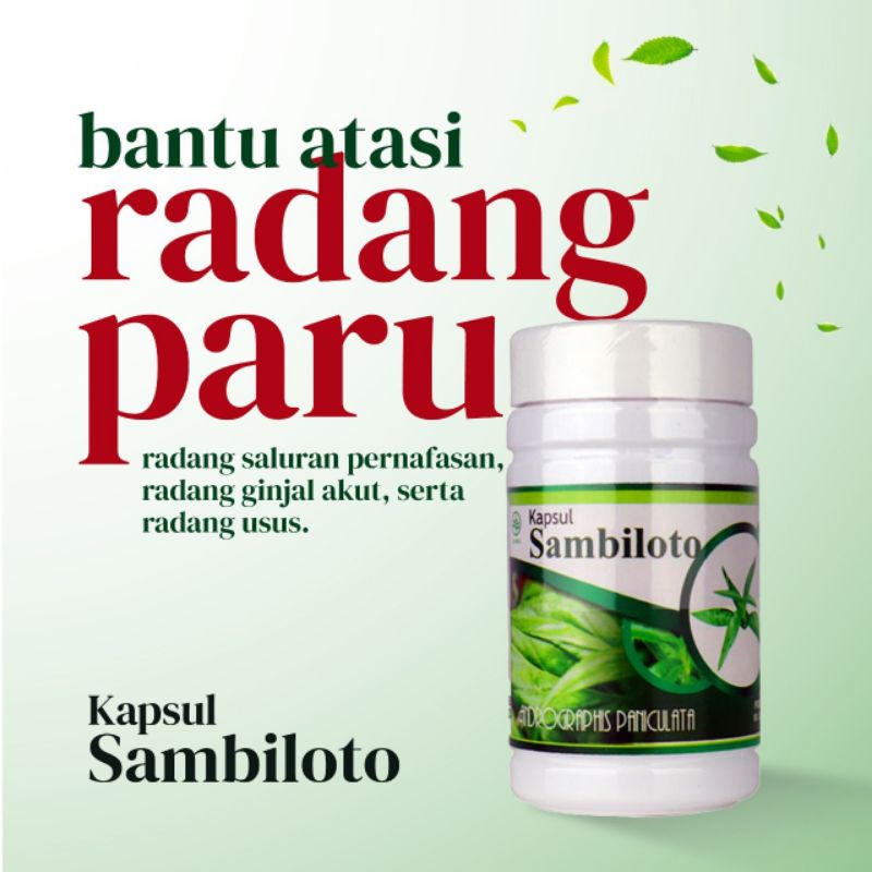 

KAPSUL SAMBILOTO GRIYA ANNUR 50 KAPSUL AMPUH ATASI DEMAM, RADANG PARU PARU DAN DIABETES DLL