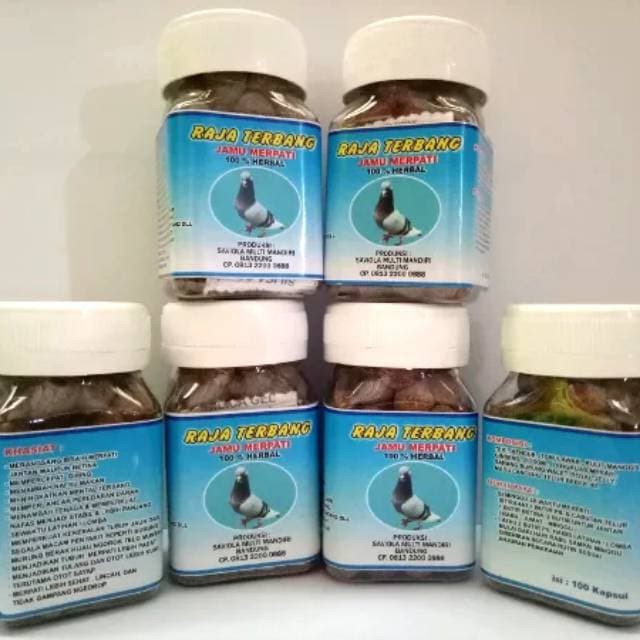 JAMU MERPATI RAJA TERBANG KHUSUS MERPARI BALAP / JABLAY