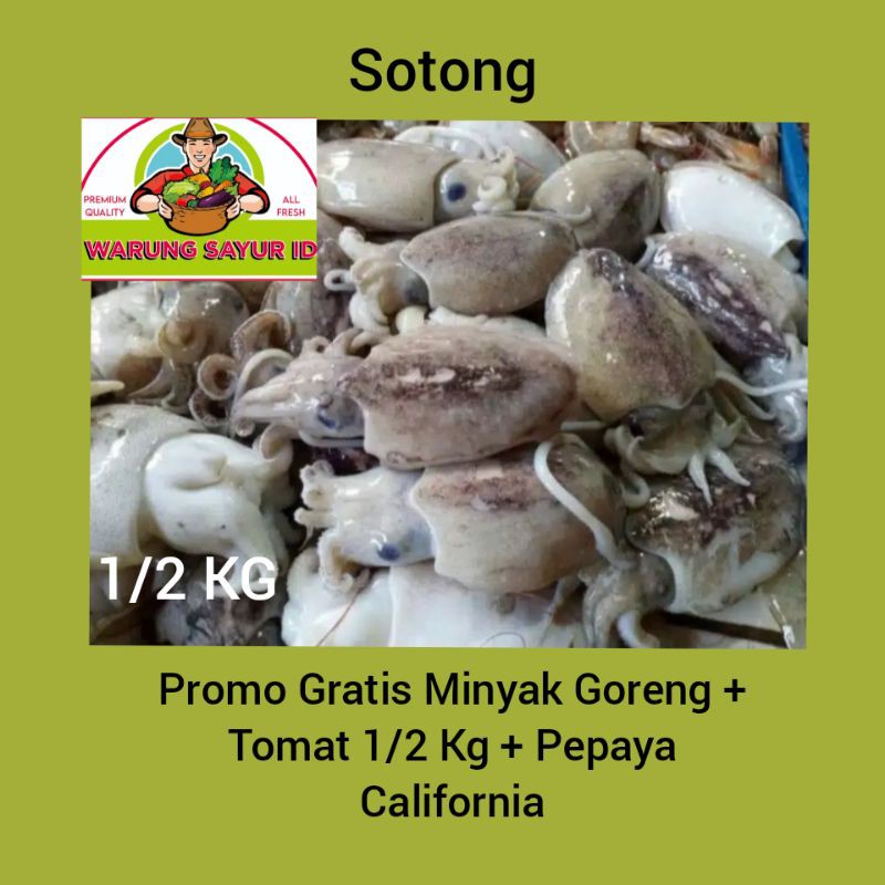 

Ikan Segar SOTONG SEGAR 1/2 KG/Ikan Online