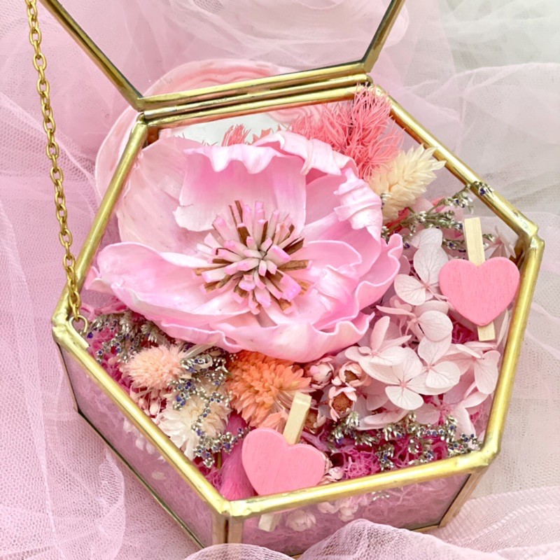 

Hadiah / Dome / Terrarium / Gift Valentine - Hexagonal