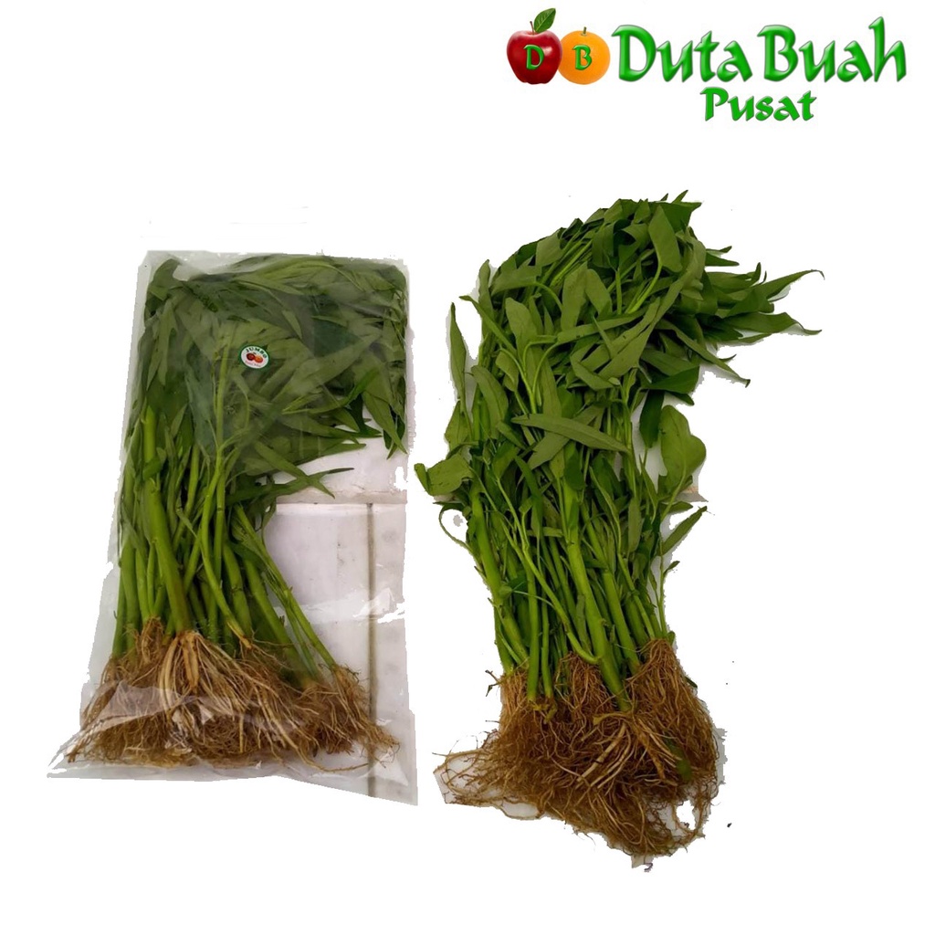 

DUTA BUAH KANGKUNG DB (+-250G)