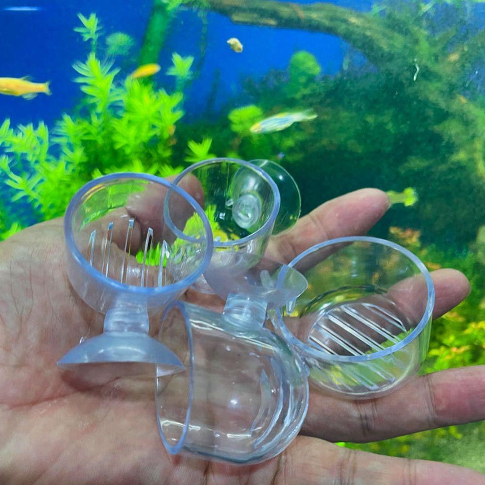 Quinton Plant Cup Acrylic Vas Berkebun Dekorasi Aquarium Tangki Ikan