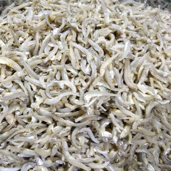 

✨COD✨ khas Medan teri buntiou super (berat 250gram)