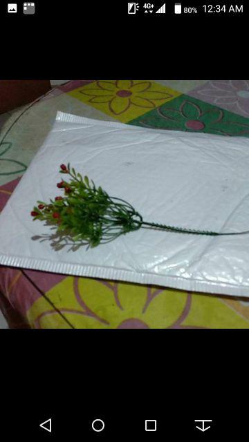 Wanflower Daun Mangga X5 * Hijau Lis Kuning (perlusin)