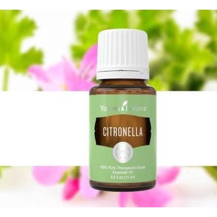 Citronella minyak atsiri essential oil original YL segel 15ml